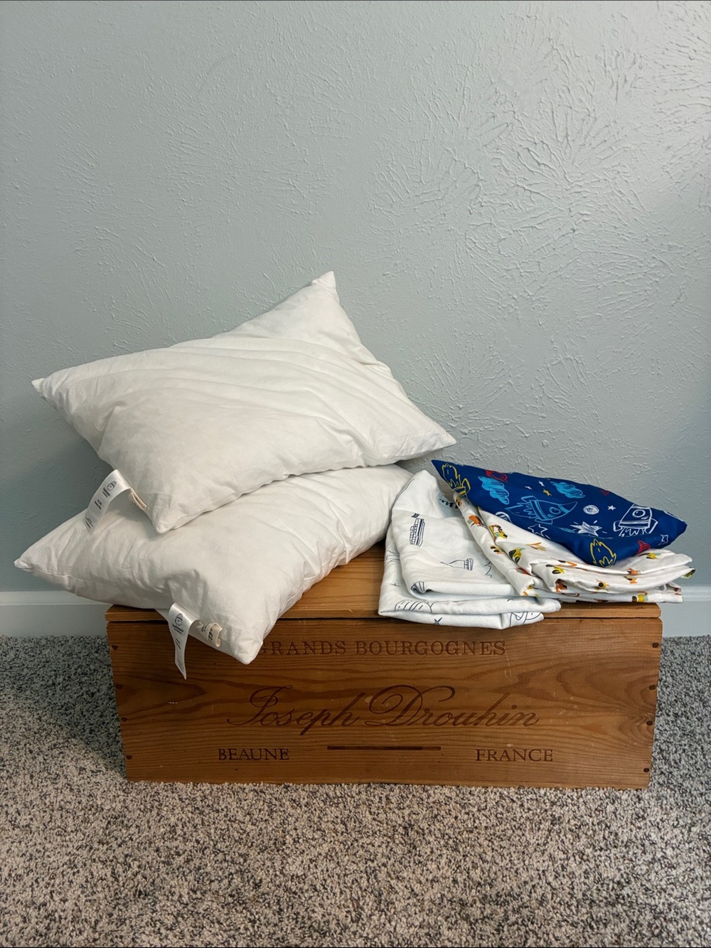 Toddler Pillow Set with Pillowcases